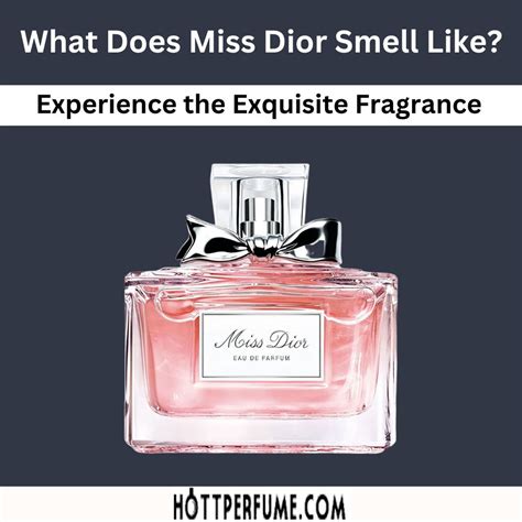 dior missino perfume|what does miss dior smell like.